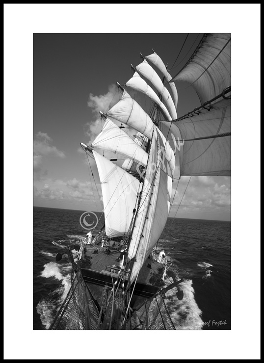 PSD0117487_BW.jpg