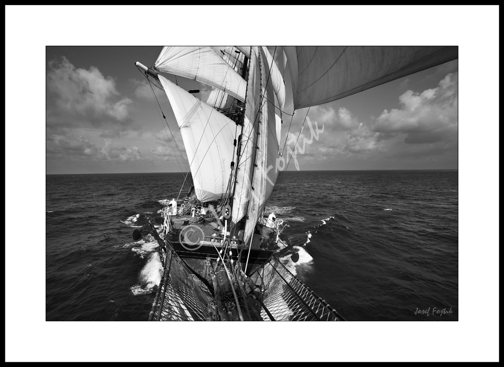 PSD0117502_BW.jpg