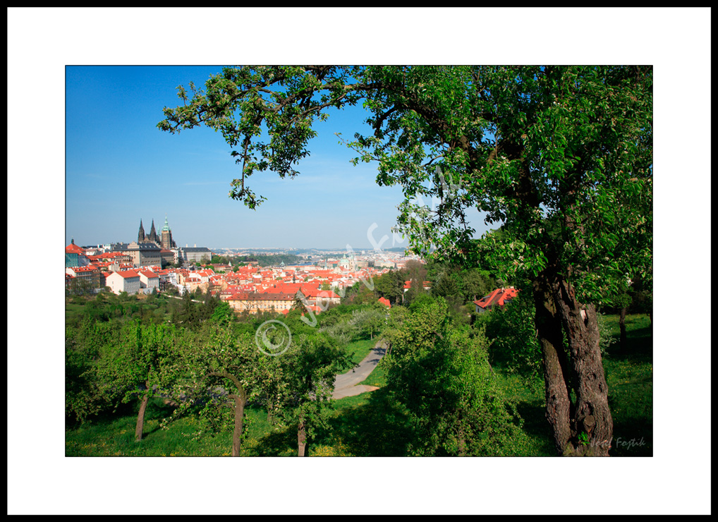 PSD0099444.jpg