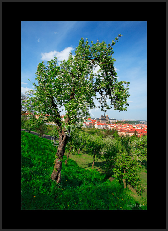 PSD0109131.jpg