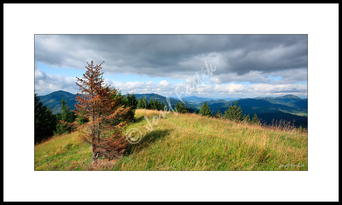 PSD0112905_PAN_2.jpg
